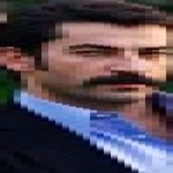 ÇıNaR